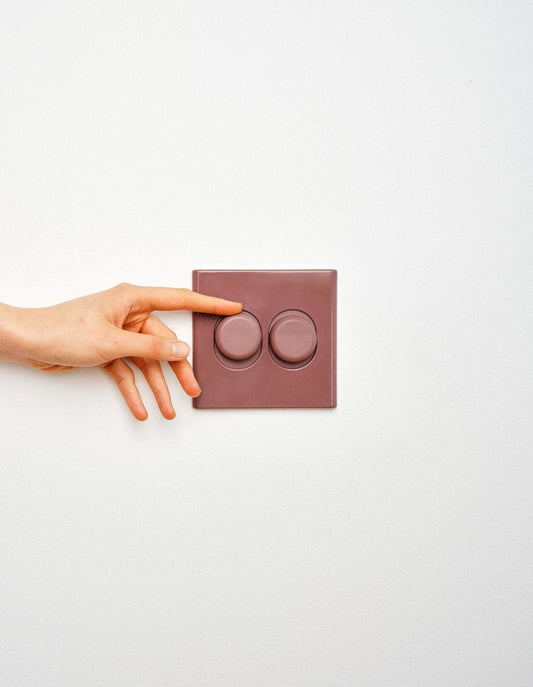 Switch T-2 double toggle switch cover in Karsh, installed, view 2
