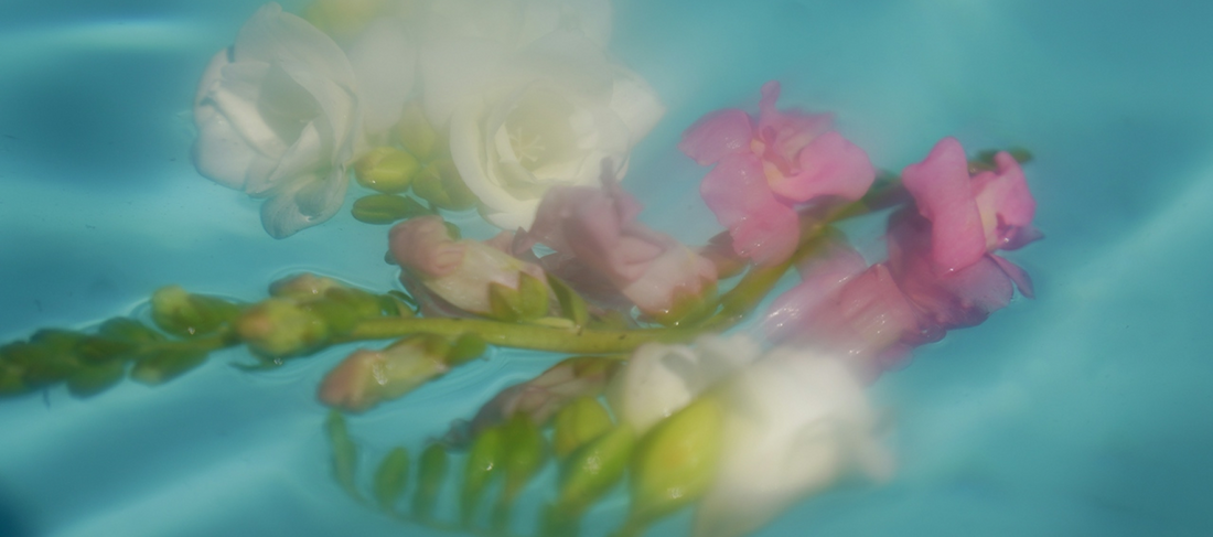 Spring Colors
